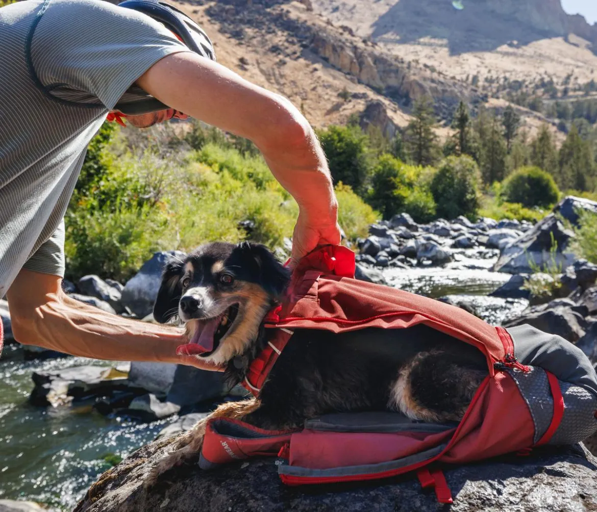 RUFFWEAR® Hunde-Rucksacktrage Hitch Hiker™