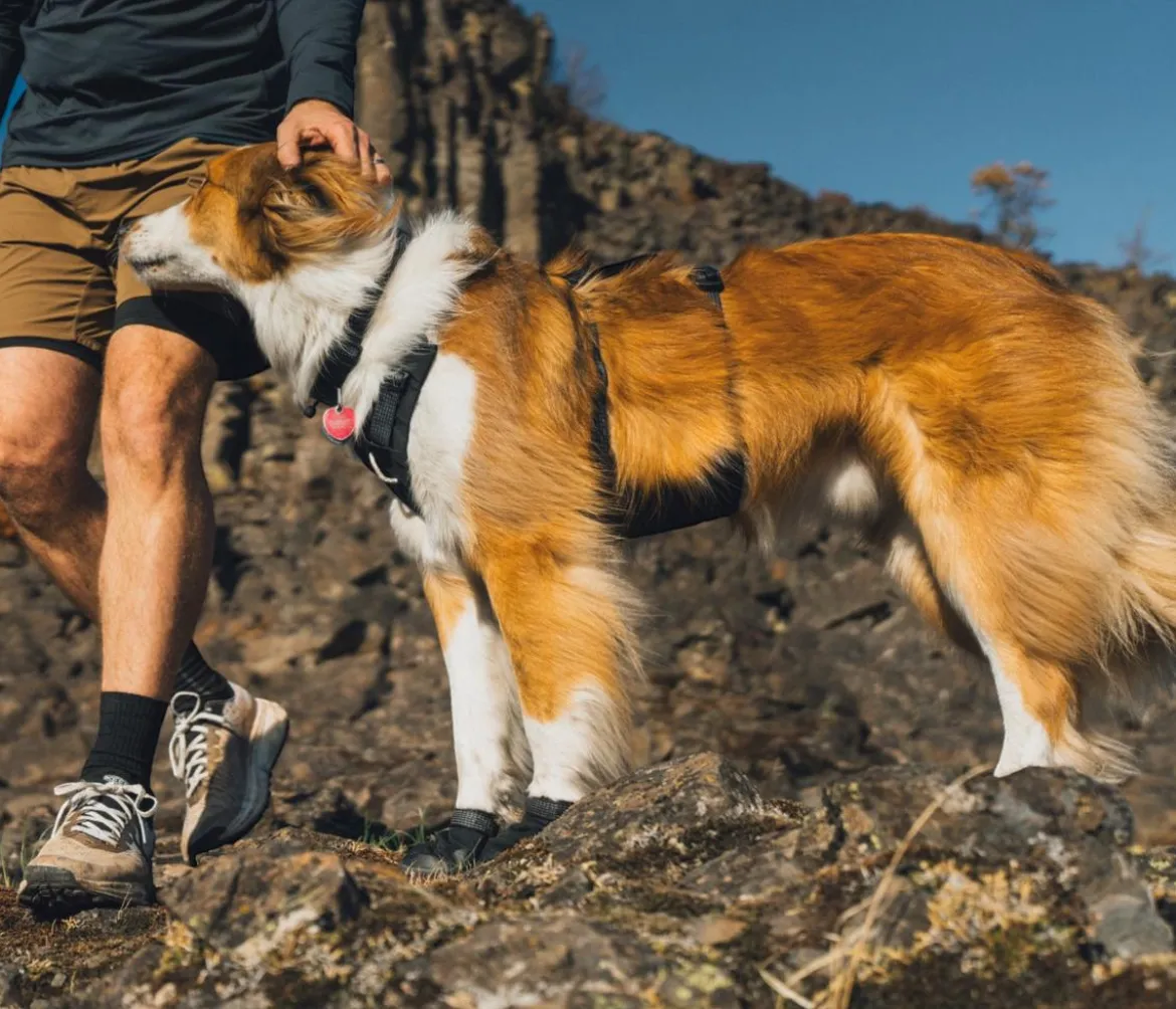 RUFFWEAR® Hundeschuhe Ridgeline™, 2er-Set