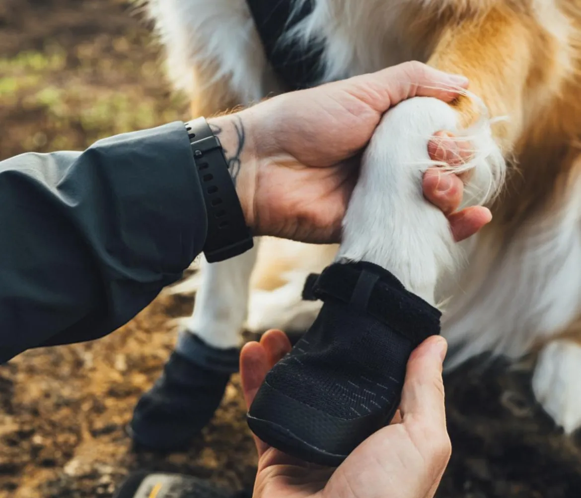 RUFFWEAR® Hundeschuhe Ridgeline™, 2er-Set