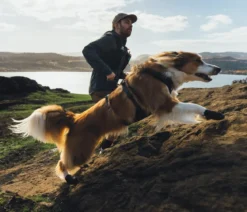 RUFFWEAR® Hundeschuhe Ridgeline™, 2er-Set