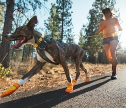 RUFFWEAR® Hundeschuhe Summit Trex™, 2er Set