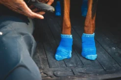RUFFWEAR® Hundesocken Bark'n Boot™, 4er Set