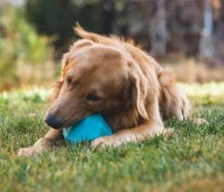 RUFFWEAR® Hundespielzeug Gnawt-a-Rock™, ca. Ø11,5 cm