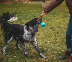 RUFFWEAR® Hundespielzeug Huck-a-Cone™, ca. Ø7,5/T10 cm