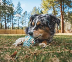 RUFFWEAR® Hundespielzeug Morel™