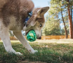 RUFFWEAR® Hundespielzeug Morel™