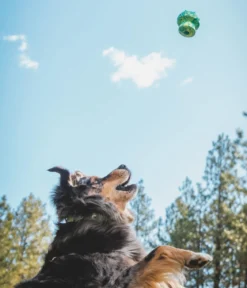 RUFFWEAR® Hundespielzeug Toadstool™