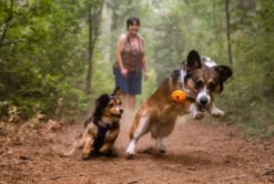RUFFWEAR® Hundespielzeug TURNUP™, ca. Ø6/H8 cm