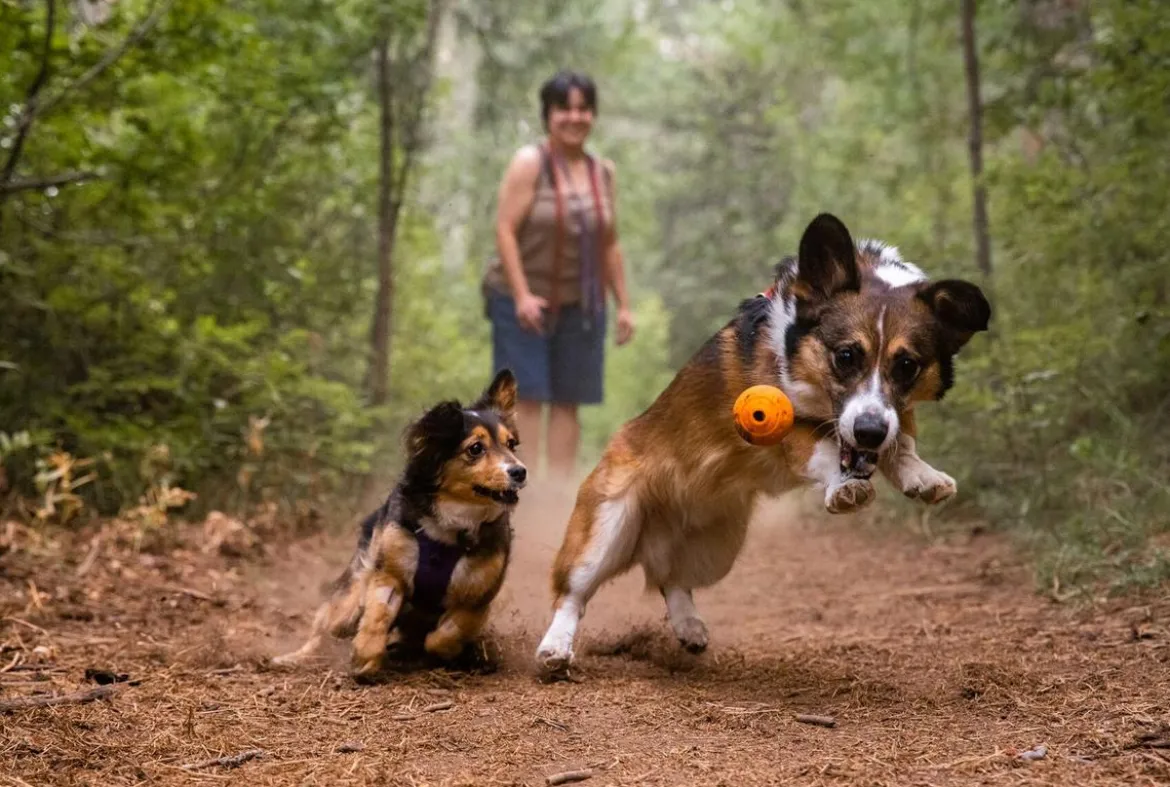 RUFFWEAR® Hundespielzeug TURNUP™, ca. Ø6/H8 cm
