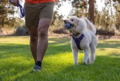 RUFFWEAR® Hundespielzeug TURNUP™, ca. Ø6/H8 cm