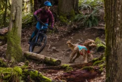 RUFFWEAR® Hundeweste Lumenglow™ Hi-Vis