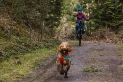 RUFFWEAR® Hundeweste Lumenglow™ Hi-Vis