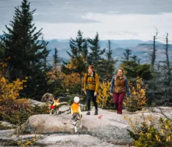 RUFFWEAR® Hundeweste Lumenglow™ Hi-Vis