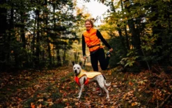 RUFFWEAR® Hundeweste Lumenglow™ Hi-Vis