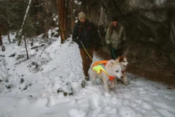 RUFFWEAR® Hundeweste Lumenglow™ Hi-Vis
