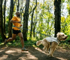 RUFFWEAR® kühlende Hundeweste Swamp Cooler™