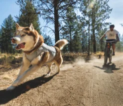 RUFFWEAR® kühlende Hundeweste Swamp Cooler™