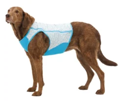 RUFFWEAR® kühlende Hundeweste Swamp Cooler Zip™