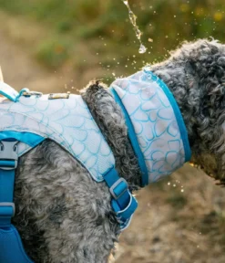 RUFFWEAR® kühlendes Hundehalstuch Swamp Cooler™