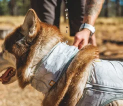 RUFFWEAR® kühlendes Hundehalstuch Swamp Cooler™