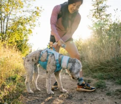 RUFFWEAR® kühlendes Hundehalstuch Swamp Cooler™