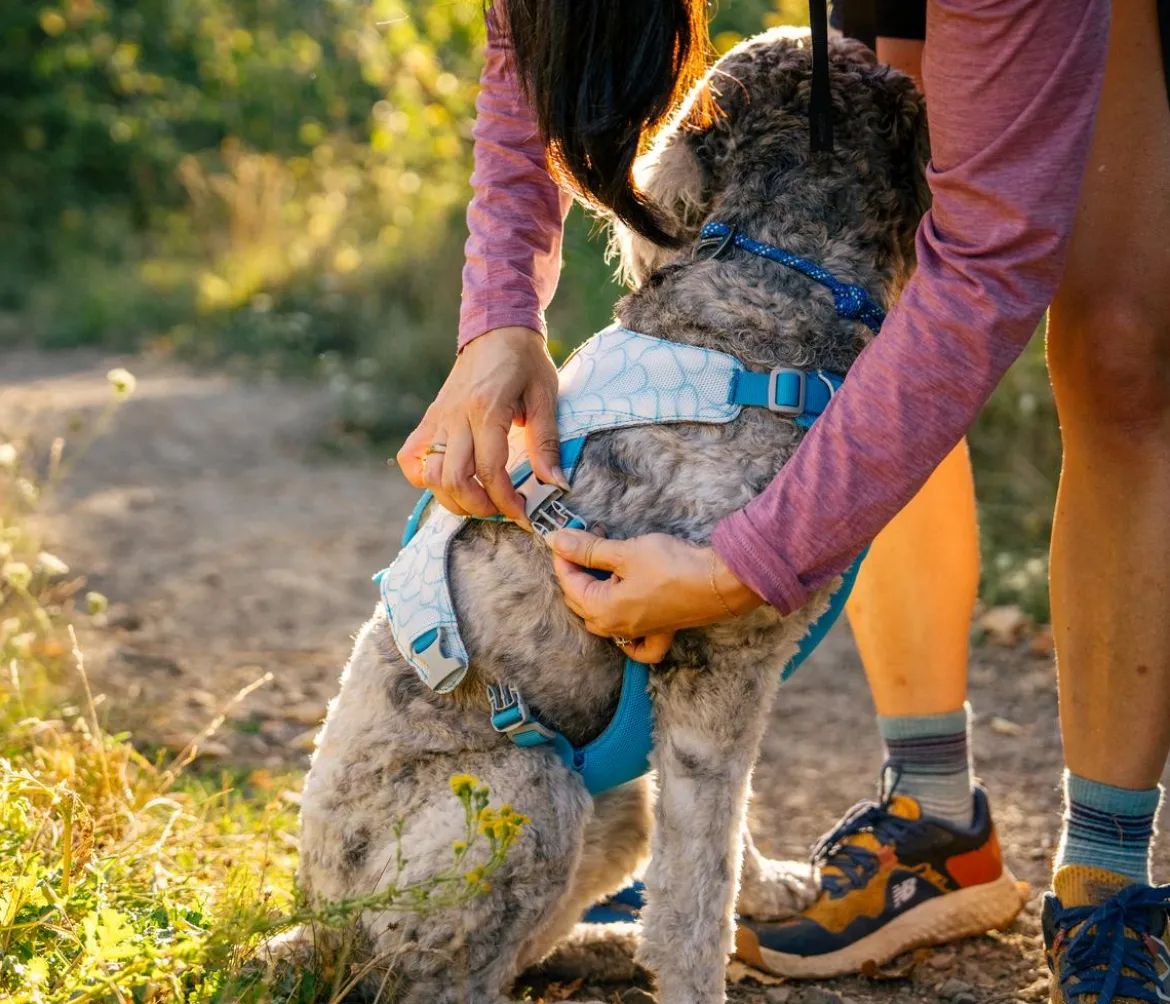 RUFFWEAR® Kühlgeschirr Swamp Cooler™