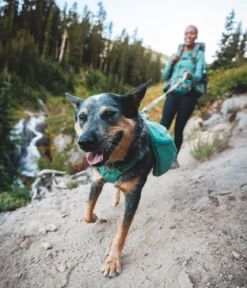RUFFWEAR® Tagesrucksack Front Range™