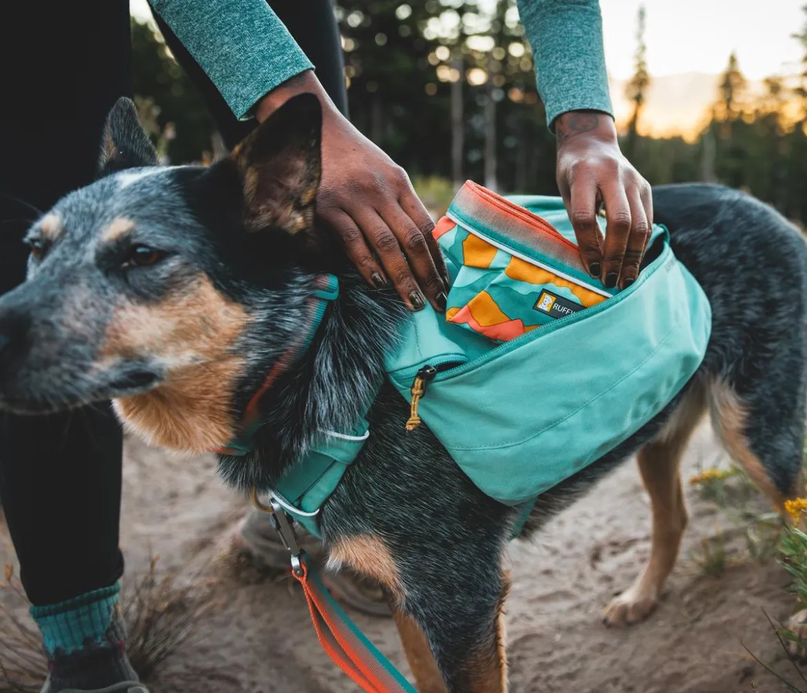 RUFFWEAR® Tagesrucksack Front Range™