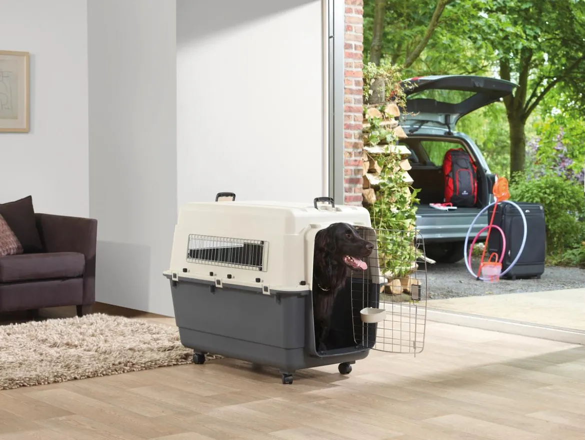 SAVIC Reisebox Andes inkl. Rollen, grau, ca. B100/H80/T67 cm