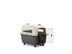 SAVIC Reisebox Andes inkl. Rollen, grau, ca. B100/H80/T67 cm