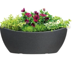 Scheurich Kunststoff-Jardiniere Wave Globe, oval, ca. B58/H23/T24 cm