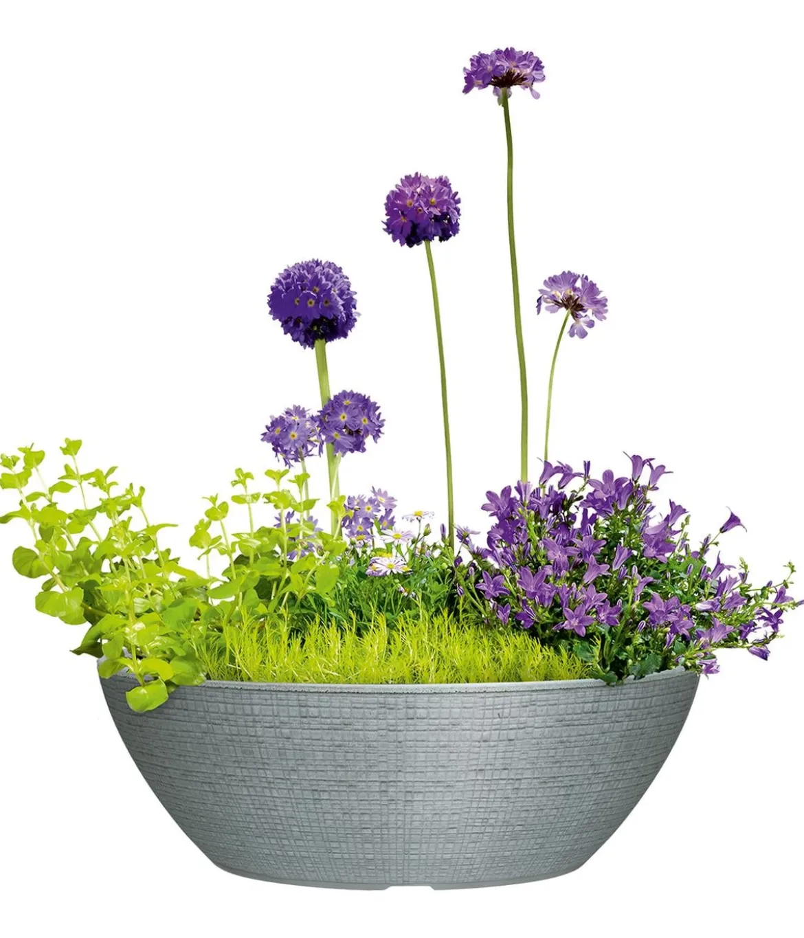 Scheurich Kunststoff-Topf Barceo Bowl, rund, ca. Ø39/H18 cm