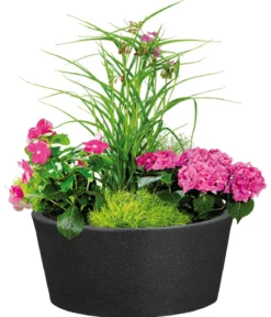 Scheurich Kunststoff-Topf C-Cone Bowl, rund, ca. Ø38,9/H17,5 cm