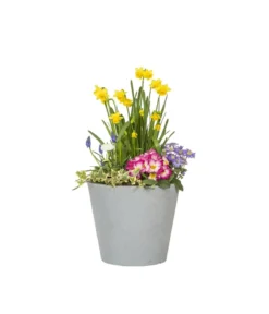 Scheurich Kunststoff-Topf C-Cone, rund