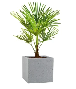 Scheurich Kunststoff-Topf C-Cube, quadratisch