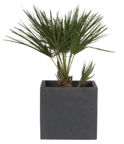 Scheurich Kunststoff-Topf C-Cube, quadratisch