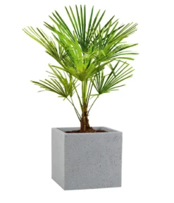 Scheurich Kunststoff-Topf C-Cube, quadratisch