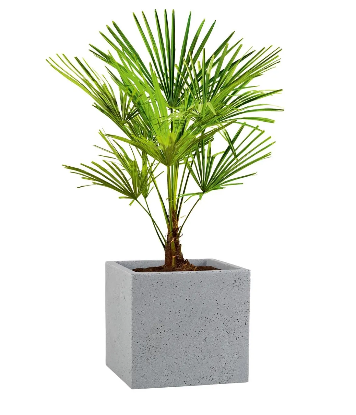 Scheurich Kunststoff-Topf C-Cube, quadratisch