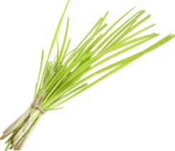 Schnittknoblauch