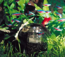 SÖCHTING OXYDATOR® Aquariumpflege Carbonator