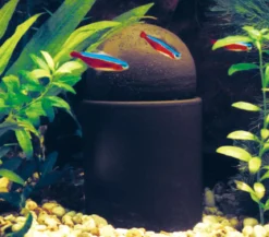 SÖCHTING OXYDATOR® Aquariumpflege Oxydator A