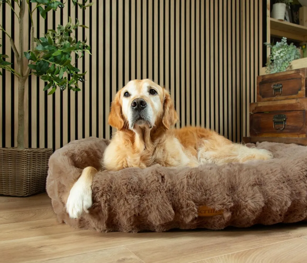 Scruffs Hundebett Alpine Box Bed