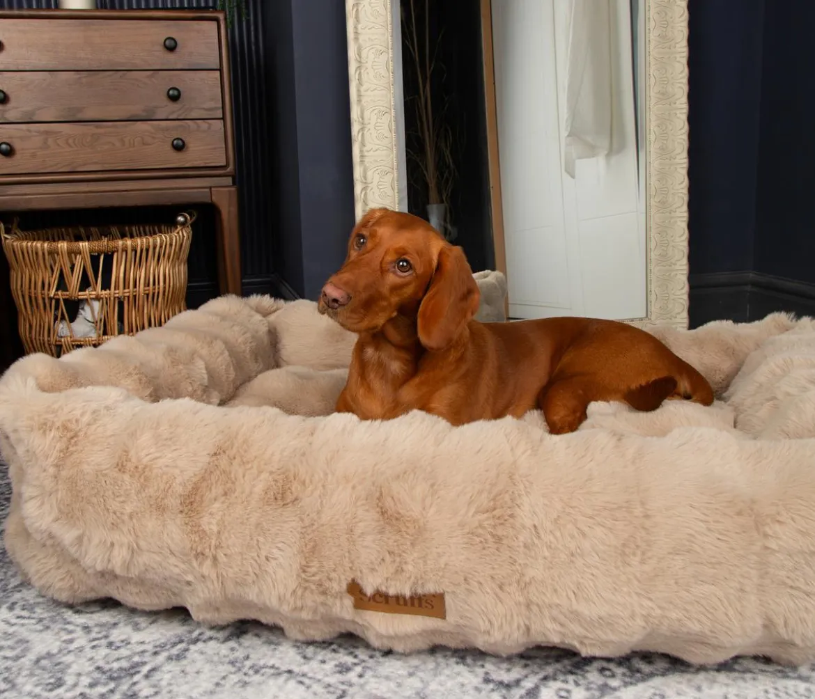Scruffs Hundebett Alpine Box Bed