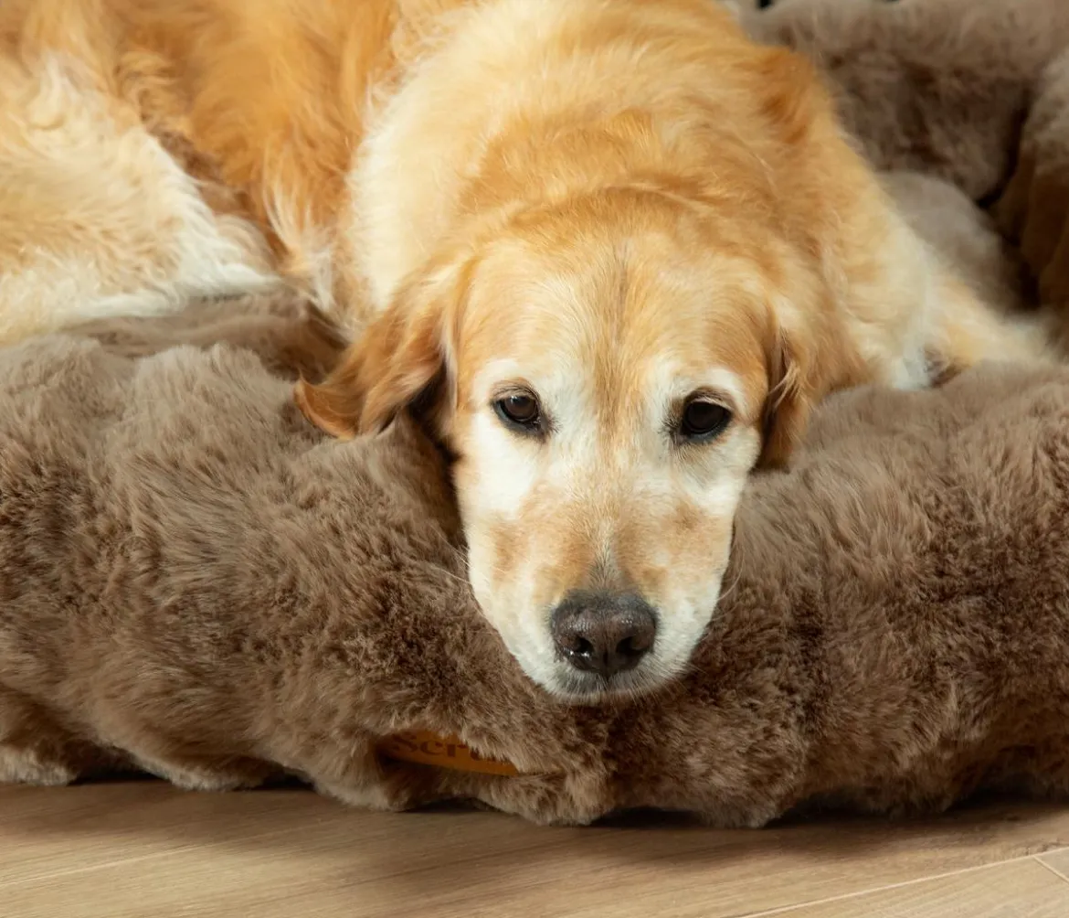Scruffs Hundebett Alpine Box Bed