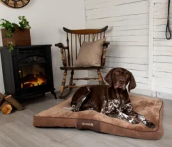Scruffs Hundekissen Chester Matress