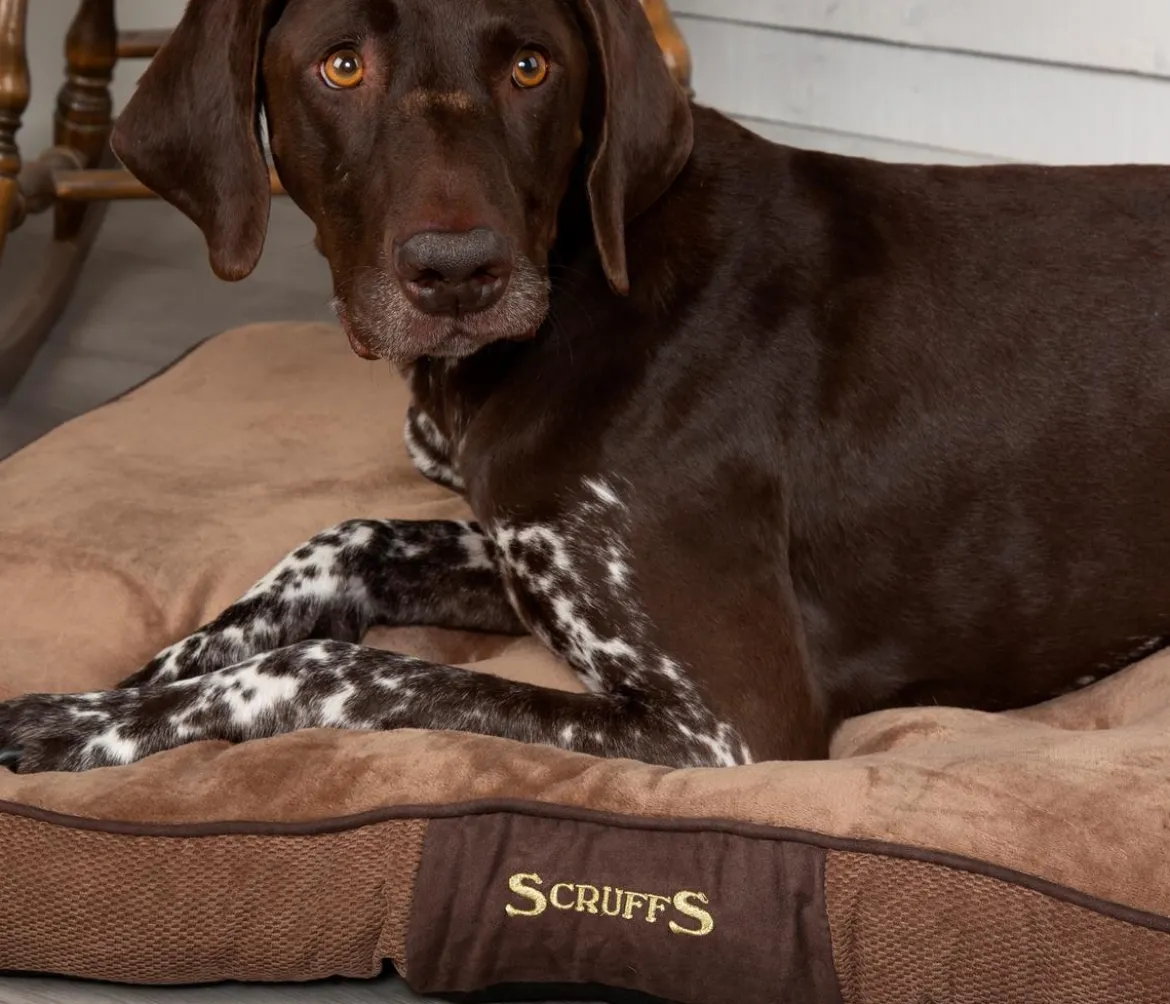 Scruffs Hundekissen Chester Matress