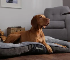 Scruffs Hundekissen Chester Matress