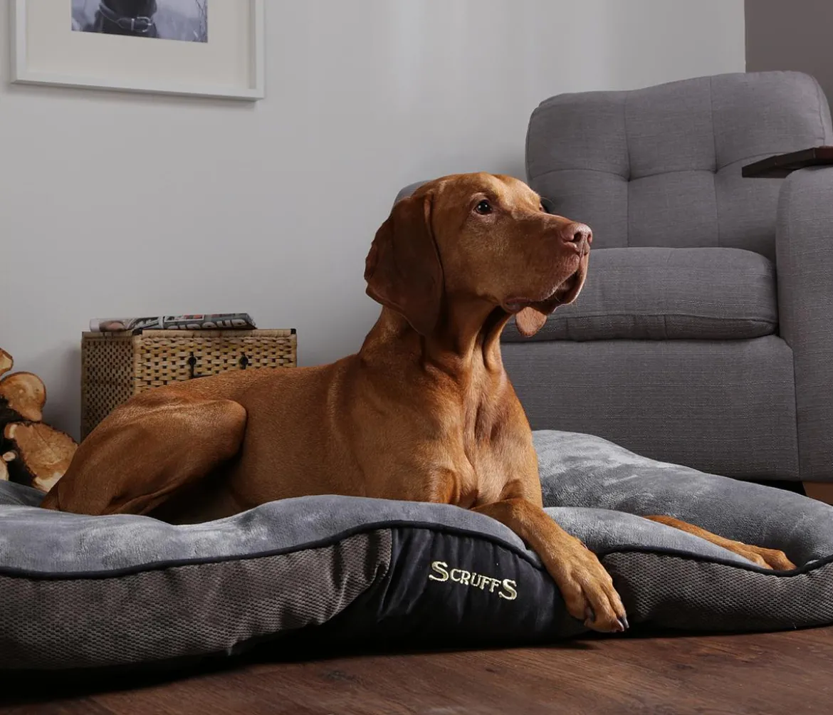 Scruffs Hundekissen Chester Matress