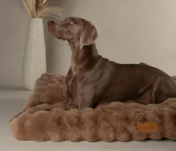 Scruffs Hundematratze Alpine Matress