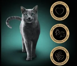 Sheba® Nassfutter für Katzen Classics in Pastete, 22 x 85 g
